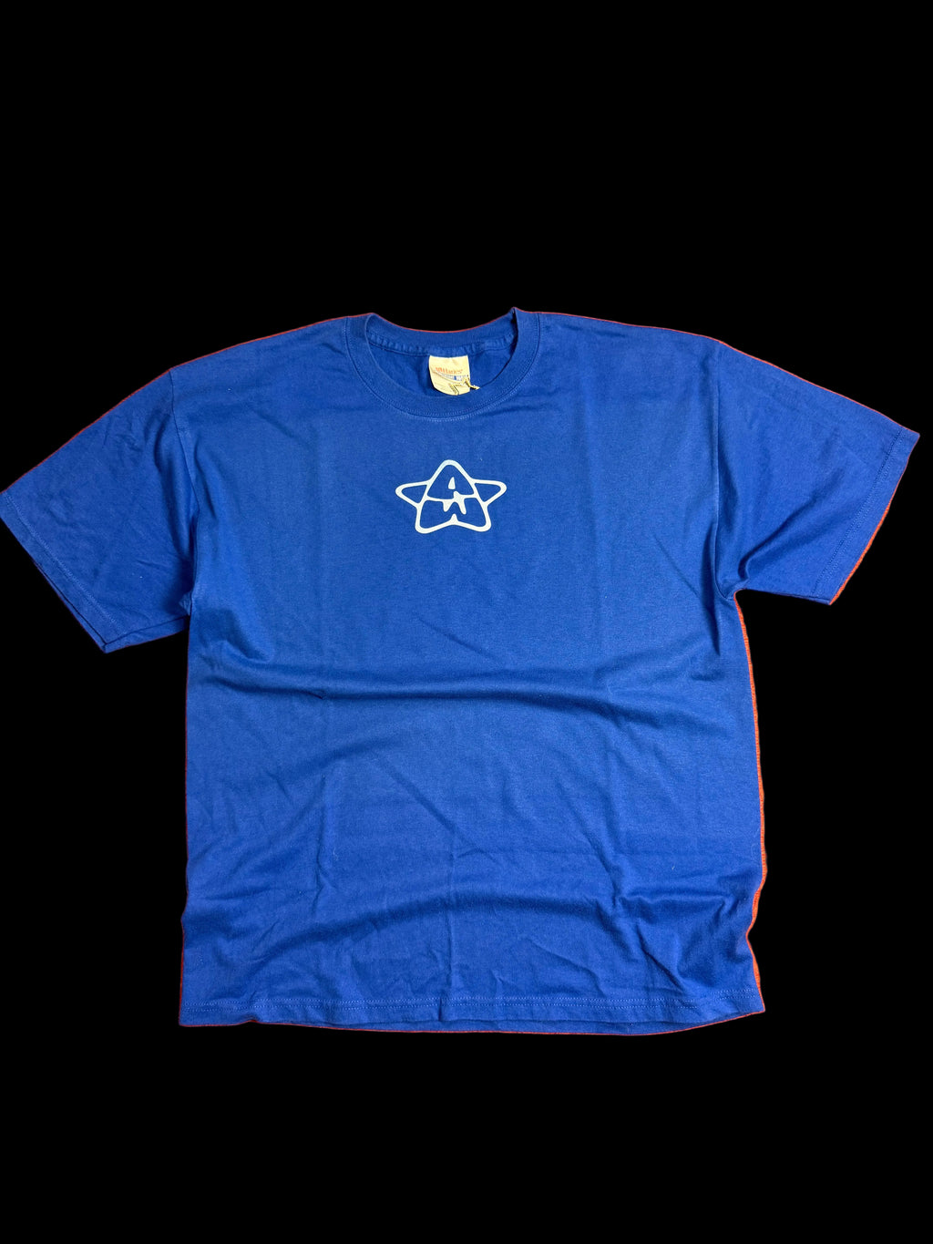 90s Blue Tee Front/Back Print